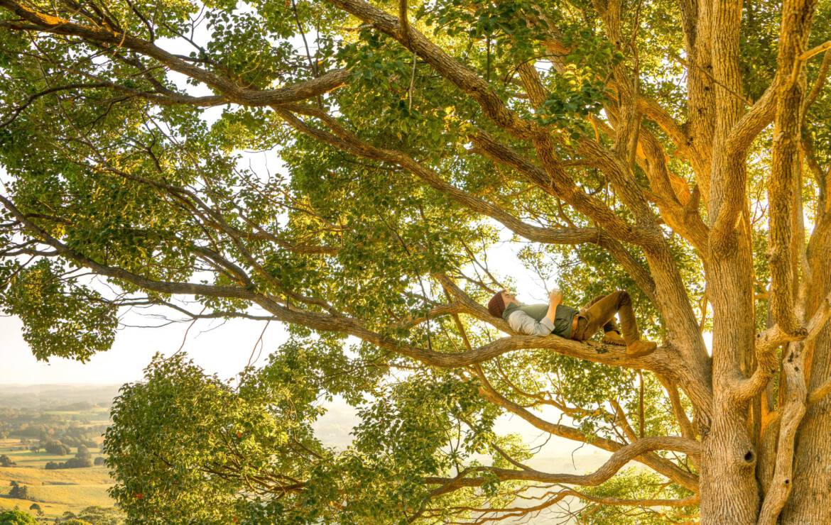 Designing for Health Through Stillness: A Salutogenic Approach